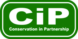 CiP logo